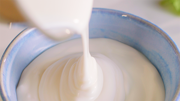 dairy yoghurt bowl