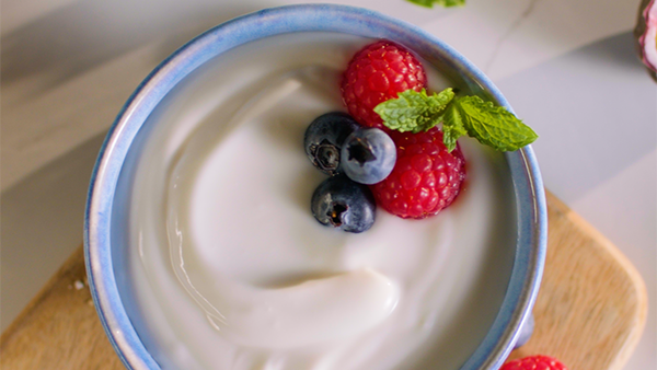 dairy yoghurt bowl